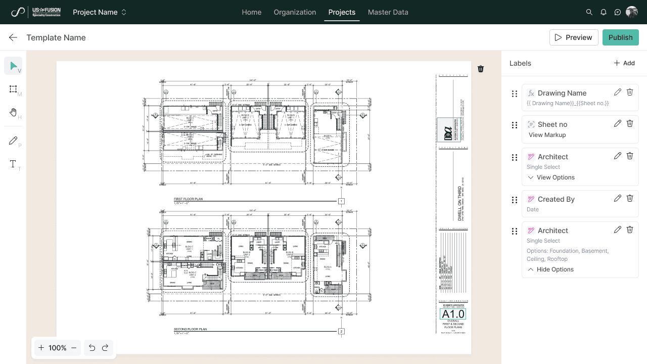 Template workspace with labels and extraction regions